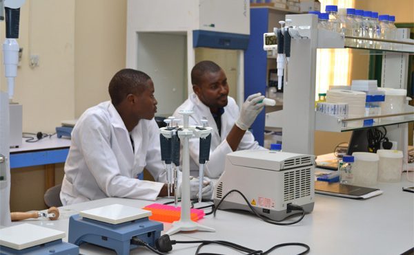 Researchers using micropipettes and bench equipment in a molecular biology laboratory