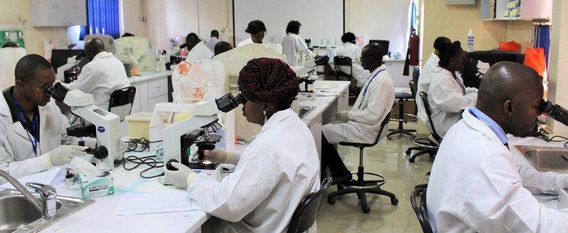 Clinical laboratory researchers performing microscopy in an African public-health laboratory