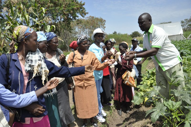 African field workers receiving training on climate-smart environmental practices in rural Kenya